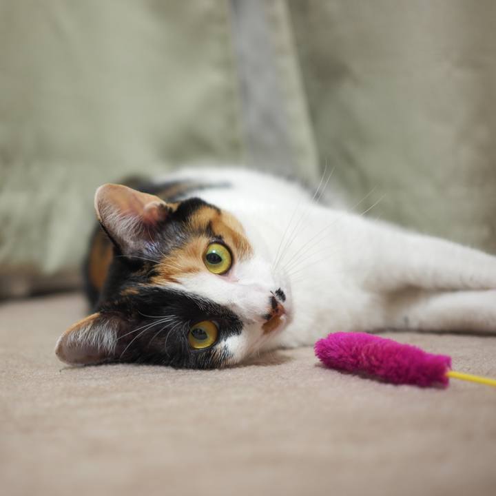 94439604 10cb 4c1a a391 4dd0e979f75e