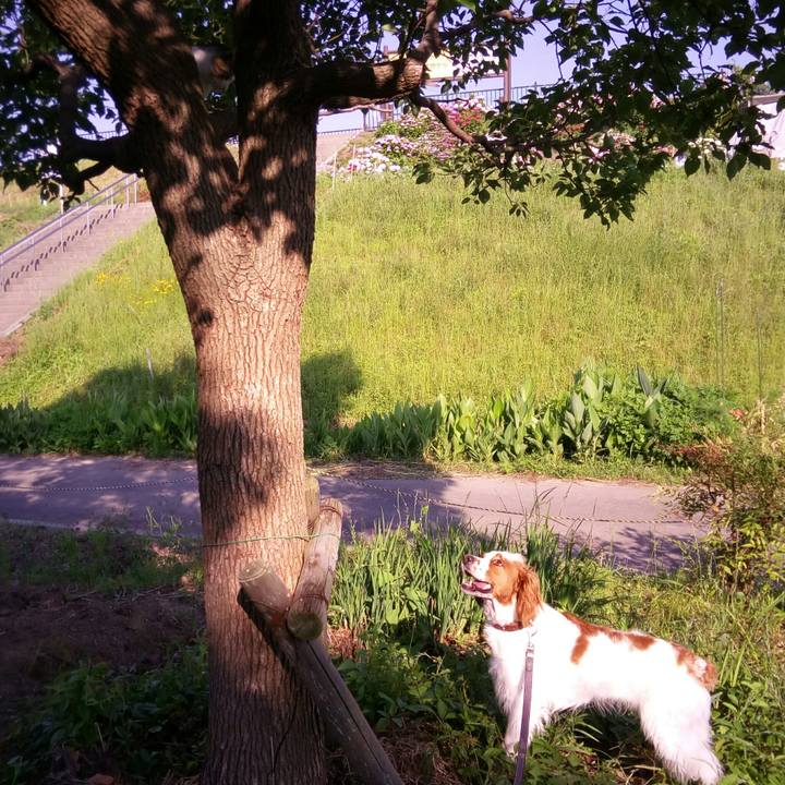 9443fe6f b28f 4aeb b854 e35ef2a8b5f8