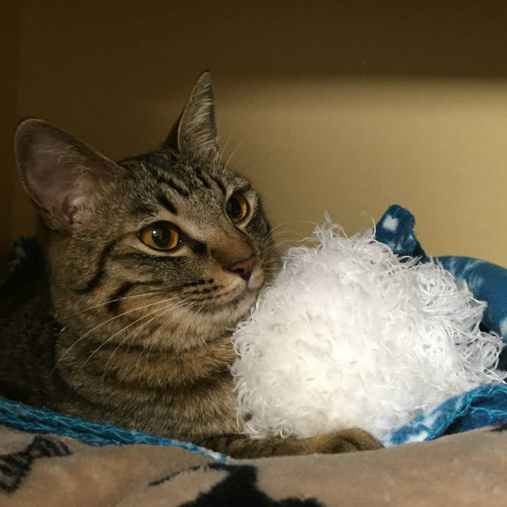 94440658 5f54 4bae 9c2a 0bc68822b153