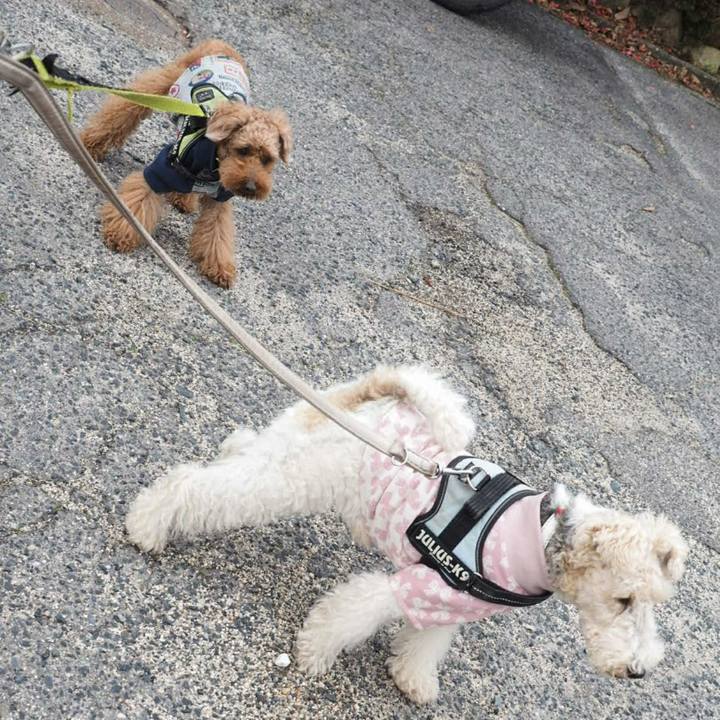 94440a11 88b9 4a0b a836 af845c177a4f