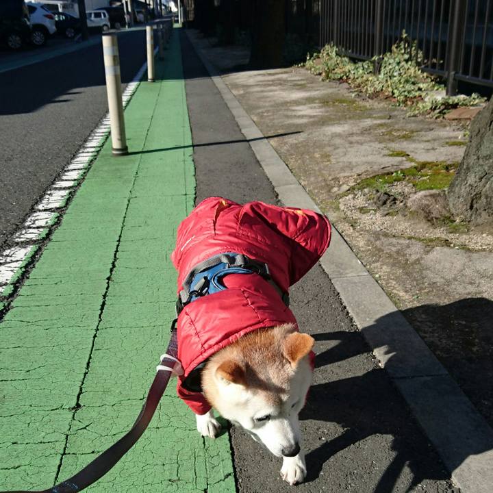 94444cce 7077 4ab4 82a0 1743d64c44e3