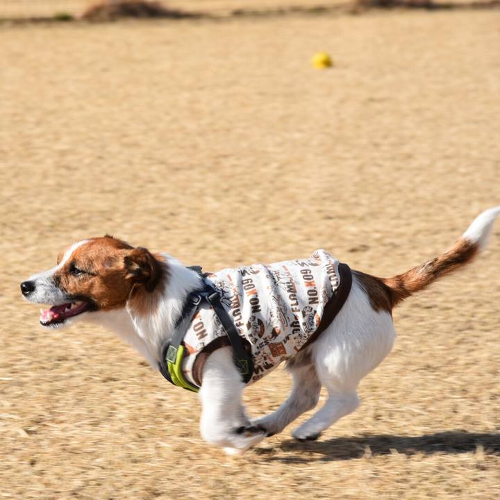 944480b1 e806 474f b8c2 bb4a19734886