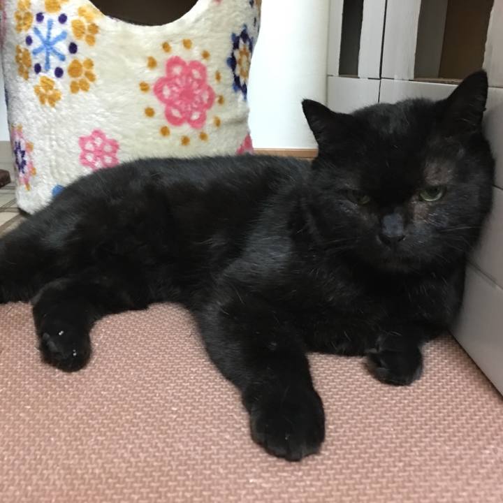 9444a9d8 1c0e 49a5 af70 a5c38d142c71