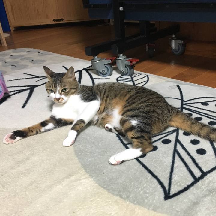 94459ee5 e1bb 4c59 b533 f71ea3015101