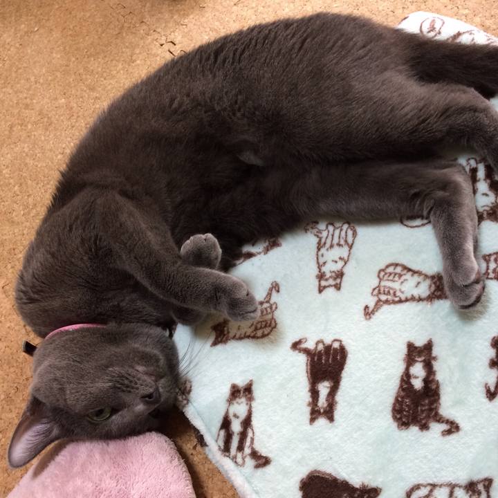 9447133b 001f 4a4d b9bb 1598bb6eea22