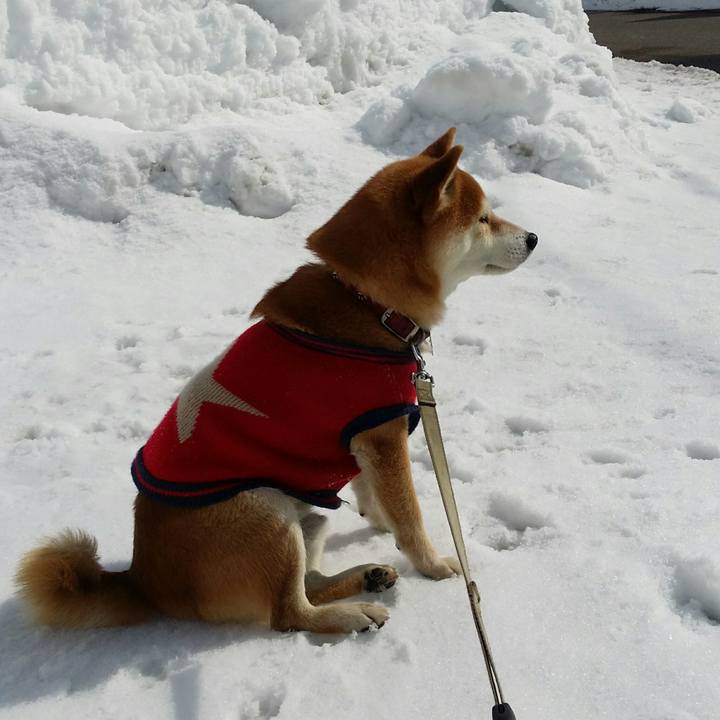 94474f9f c538 4bd2 bf8b 0368f04b4e86