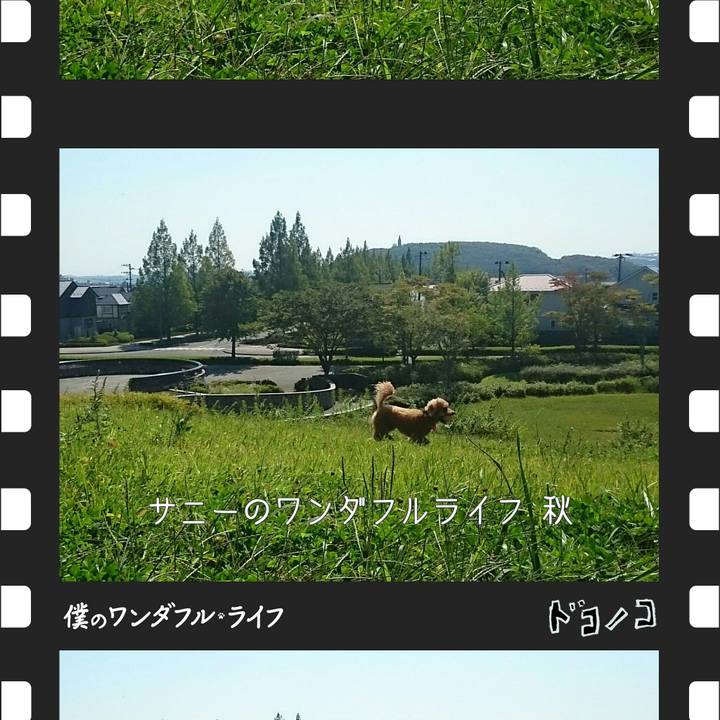 94477746 606f 4151 bab9 2588b4b5dff3