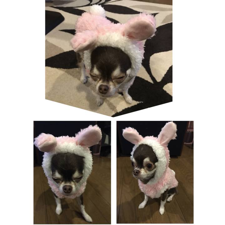 9447f844 1b8e 4a6a 8fe4 089f18bc9c3e