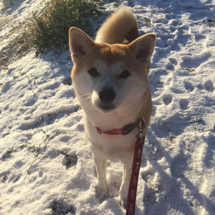 94483586 3a30 4baa 8ac8 3c49c29627ff