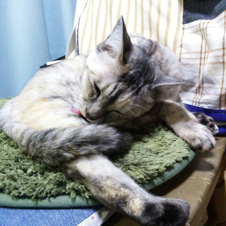 944853f7 138d 42b8 a8b1 014947940dd3