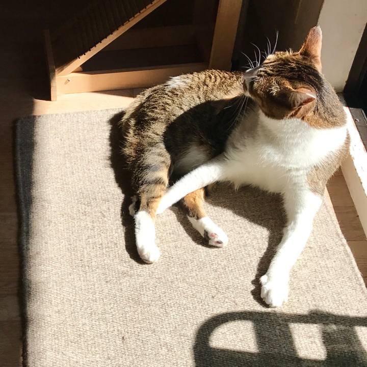 94491475 b911 4000 8766 50c1af407a51