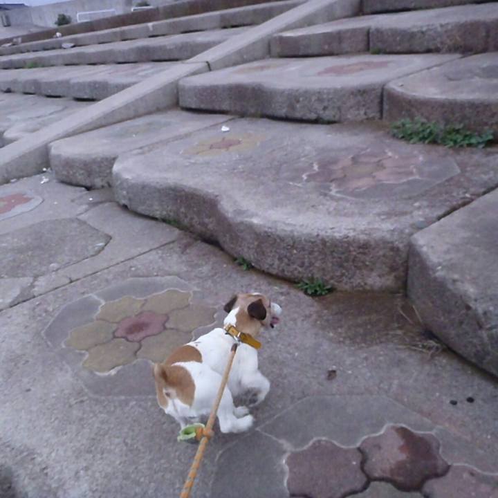 944996d3 cb5b 4d28 a73f 1f46510e4f91