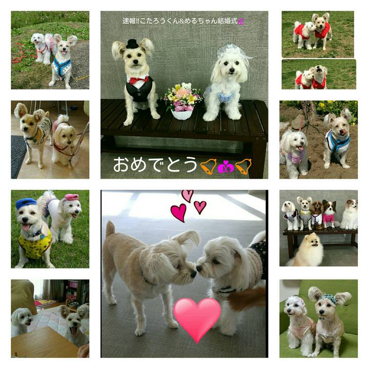 944a1bf1 241b 4223 b89b 93c97fb196c4