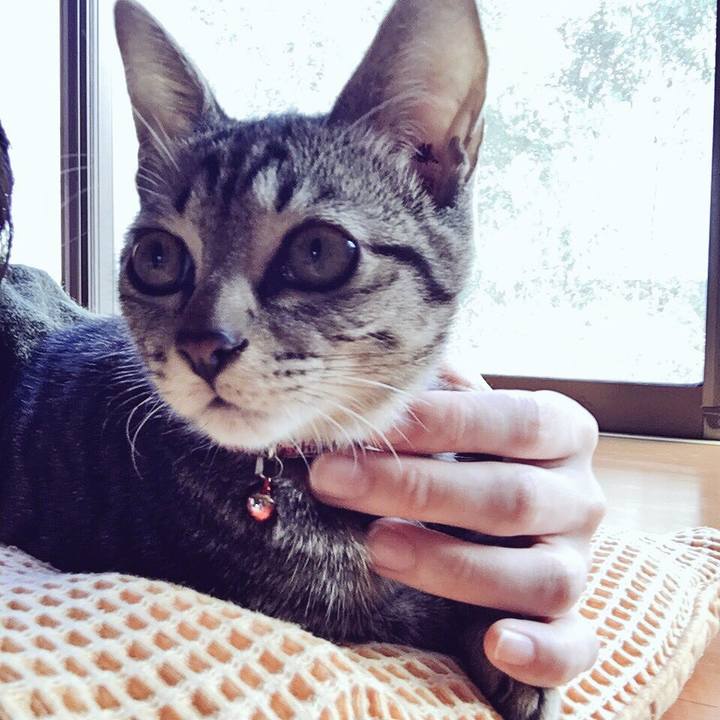 944a5a35 f051 49df 8e55 55ad7380d807