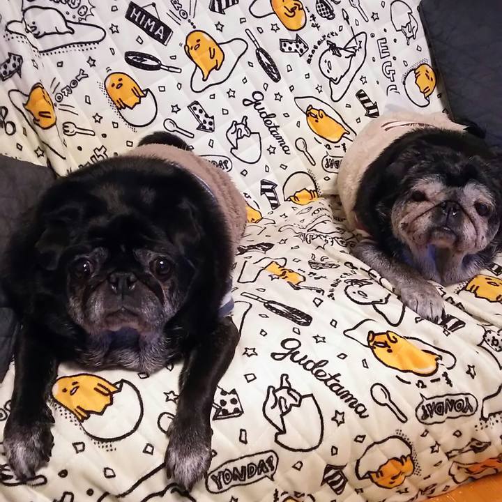 944a8a12 629c 41fa 96a4 df27db5e2aa0