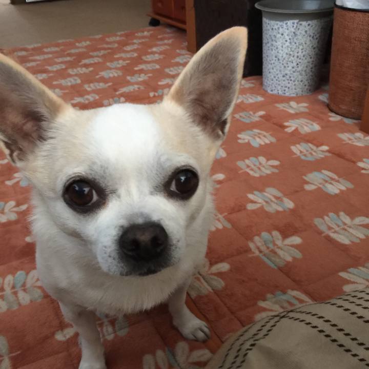 944a96dc da16 485e ad88 48ae0145d88d