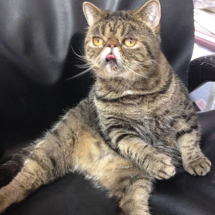 944adafa 72ac 4f36 8693 0bcb17c1934d