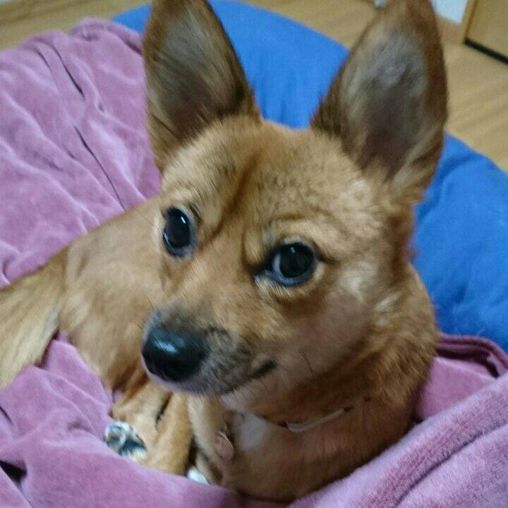 944b410b 03c7 47e7 b6db 1c2c4187e929