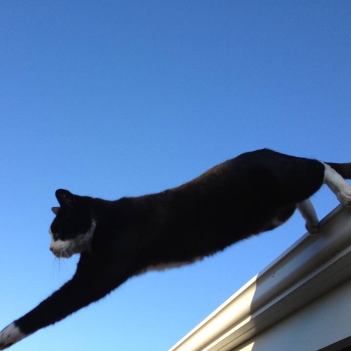 944c0fa8 3b0c 41e2 b85e 591d85772c69