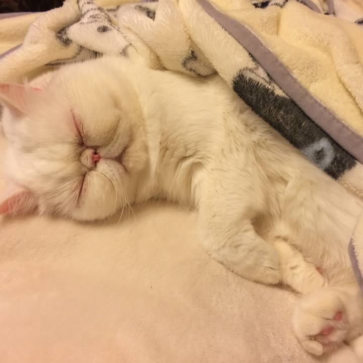 944c604f 1b62 43b7 8bfd 76b2e18b1460