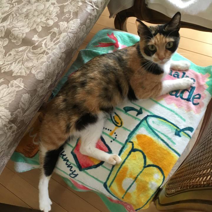 944c6f2d 4dfa 4466 81f8 30c158f7e336