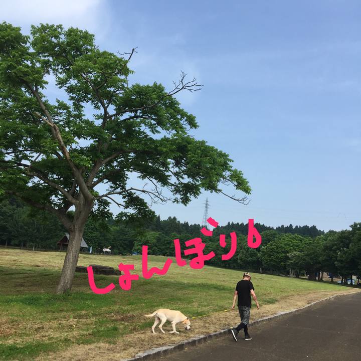 944c8f69 66a0 4c68 99f9 379ce79abab0