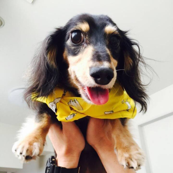 944c9acb 8f93 4e5a a47c 0f50afd11280