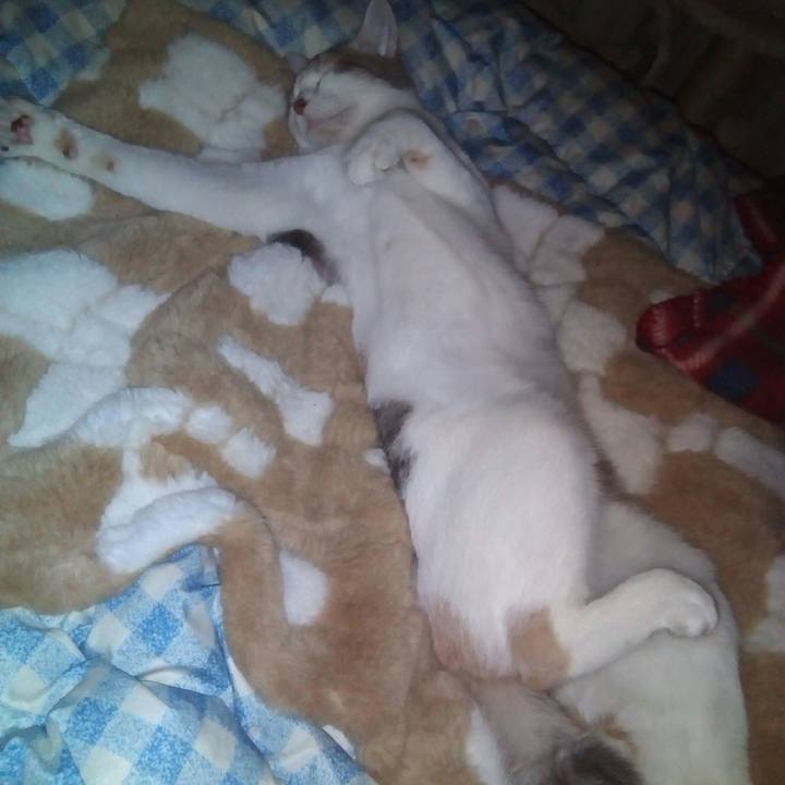 944d5aae eefb 4908 86d0 b49f2228af3d