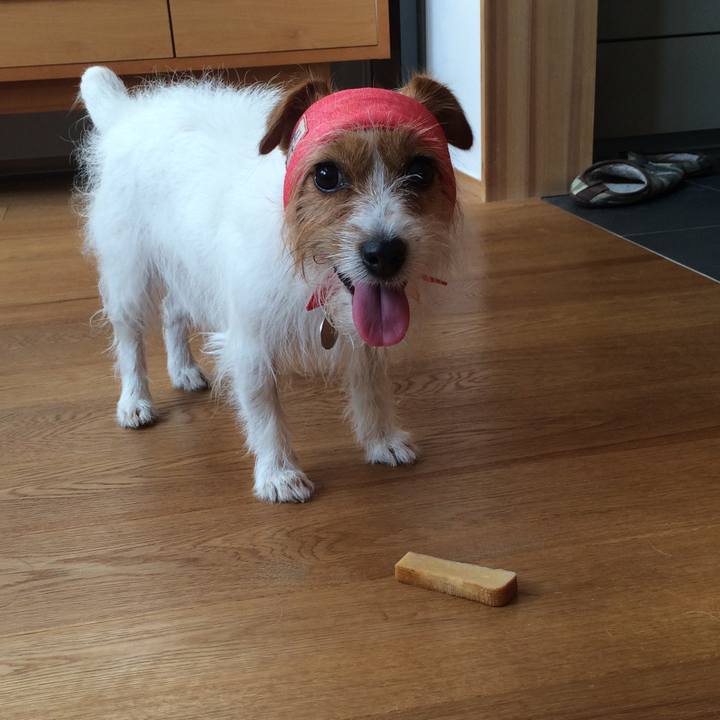 944d6ddd 6b4b 45ce af39 7e25a6f26cba