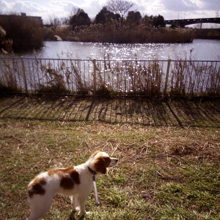 944dcd25 dbd2 41b9 aa4b 344a50e4930f