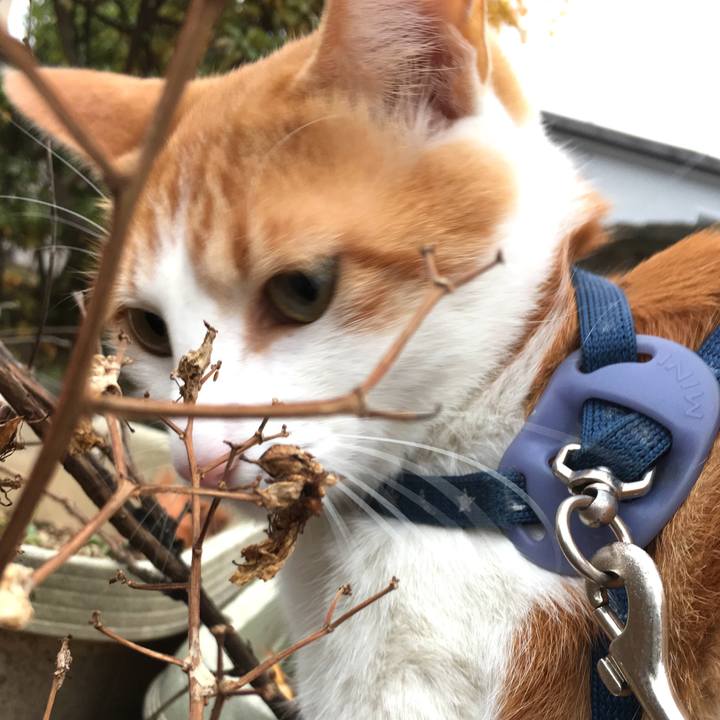 944e9d86 8ae3 414e a747 e3390c8e0d91