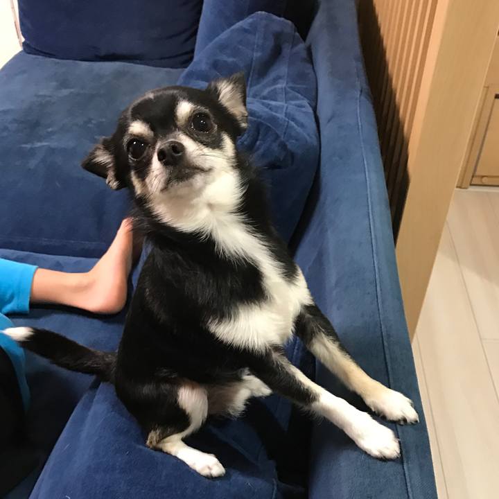 944fcf78 3903 425d 9f4a 80ed6e377f29