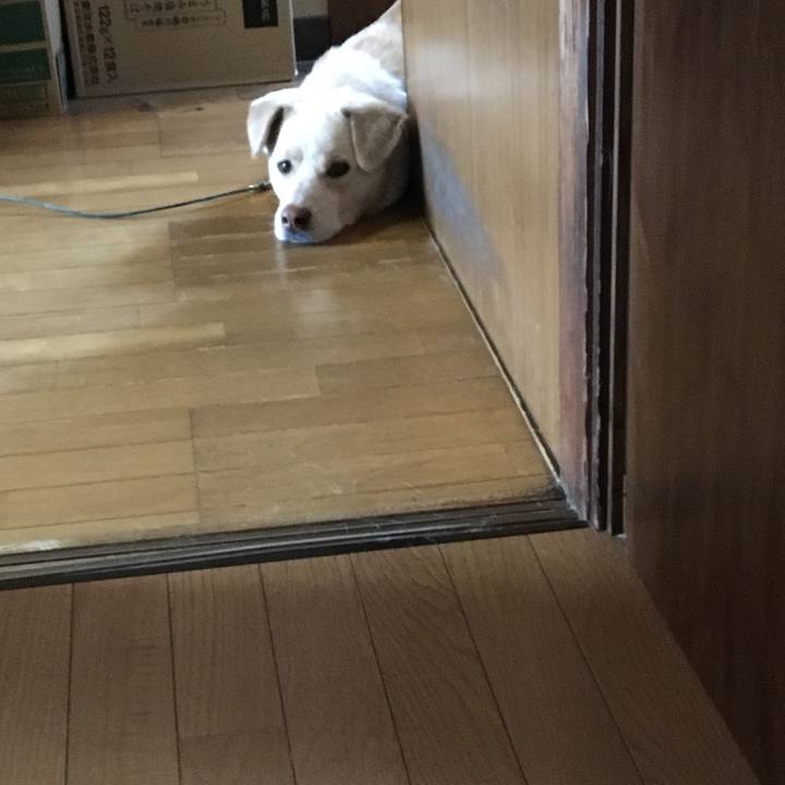 944fd5c1 6cc2 4c13 83a5 485dd9d9729f