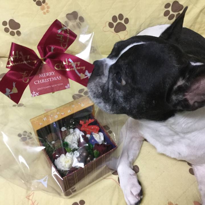 94500231 2a41 4122 a1e3 ae997b94ac6d