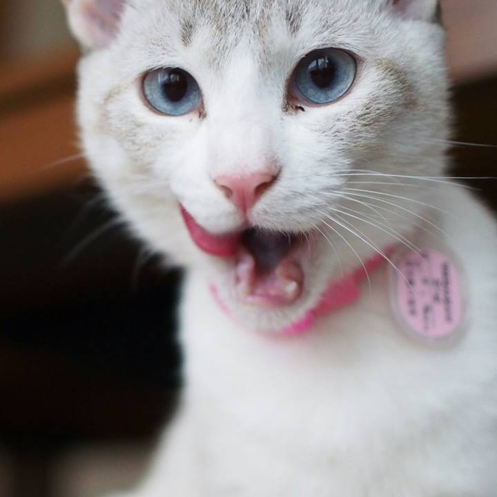 94502185 a5d5 4770 9a8d 49c68cf9f712