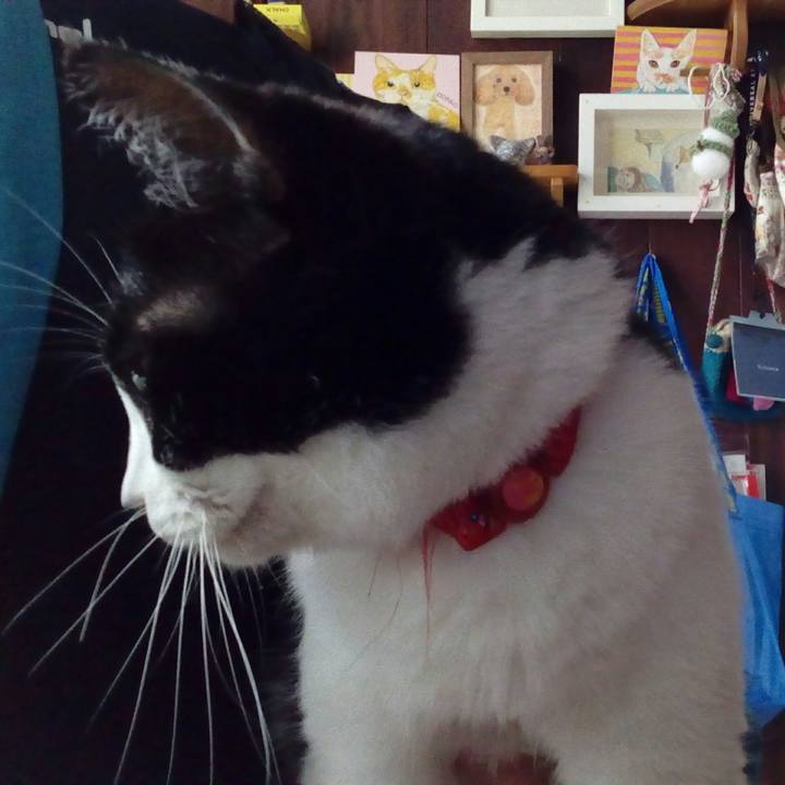 9450a32f d4e3 468b a369 4203df3ac4ba