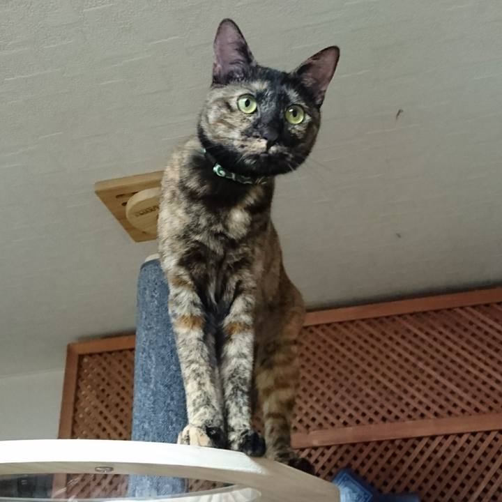 9451ecf3 da14 48b3 a499 3b3d205fa5a6