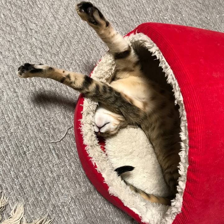 9452334f 5d25 4cdc 9680 a2d8a38a3f81