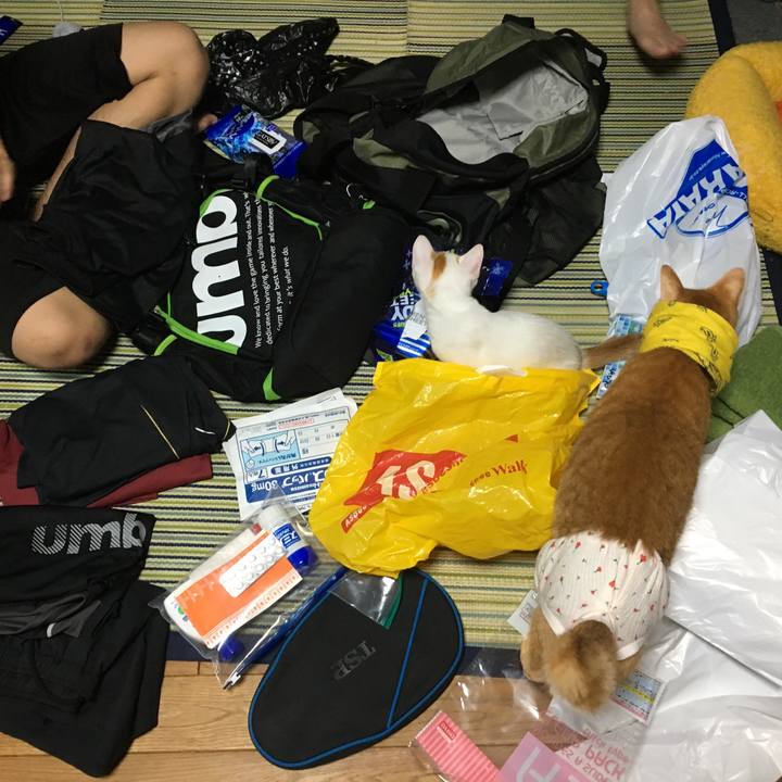 94523a9d 201e 4704 b59a 64854628de4f