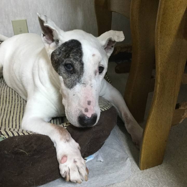 9452b2f3 9ed4 4ee0 8037 7c5d0146025c