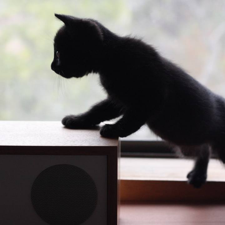 94537706 77da 4c9e b95c ac69495b8f68