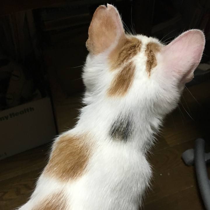 9453d0d2 d498 4c48 a24f 1e4a6635b8e5