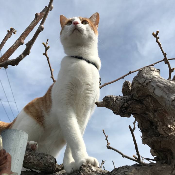 94547762 071e 45f9 94f5 9a7b6310c2d5