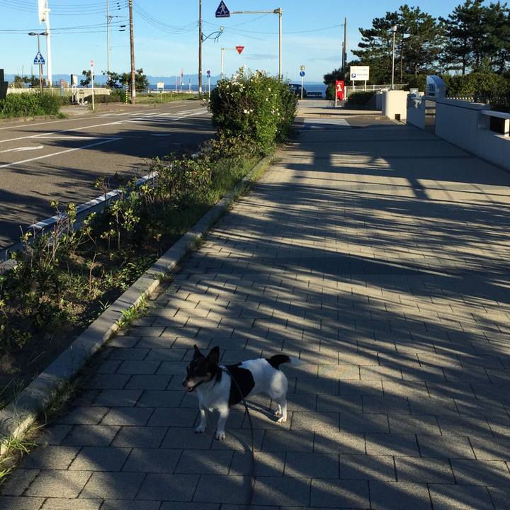 9455d6df 9e60 480e 957e 52daca81ad0c