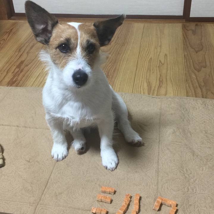 94560417 00eb 4ffa 9b92 5df9952dcfc9