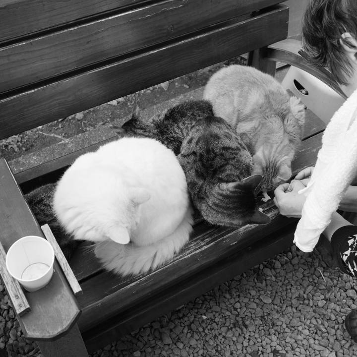 94568535 b5ee 40bf 85a8 9b65b359bc65