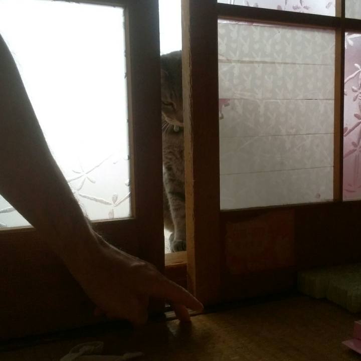 9456881f 3611 4a67 8b7d bf5ff6fdde04