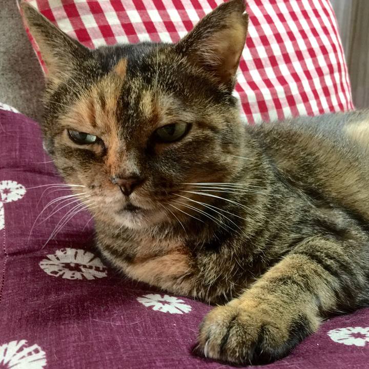 9456b2f2 c93f 48e3 9e86 216a90b5603c