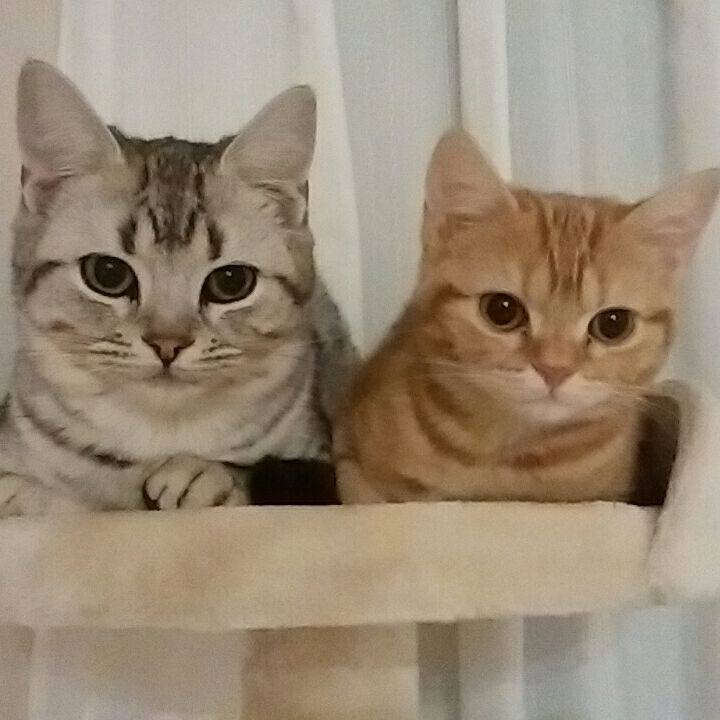 9456c437 d521 4a17 bfc9 d799f0ee48bb