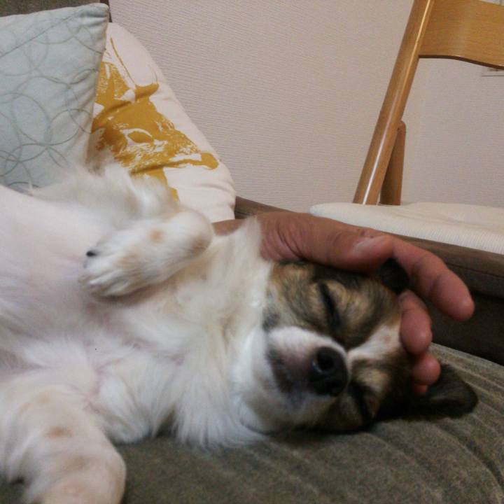 9457b13c 52c5 470f a5b4 bd1b3a825c4f